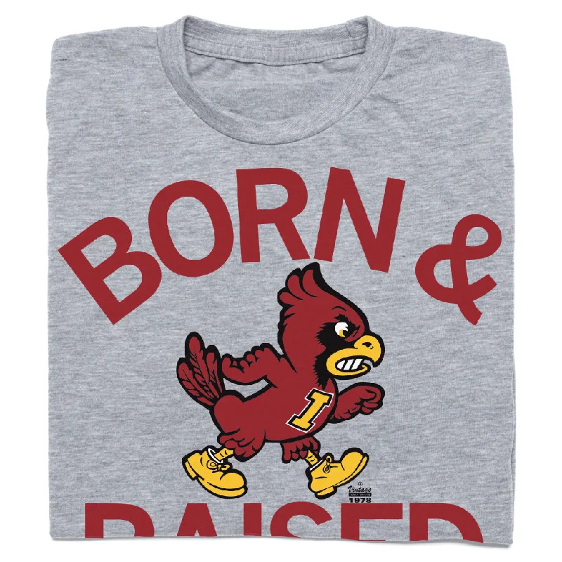 Cyclones Born & Raised Vintage Grey